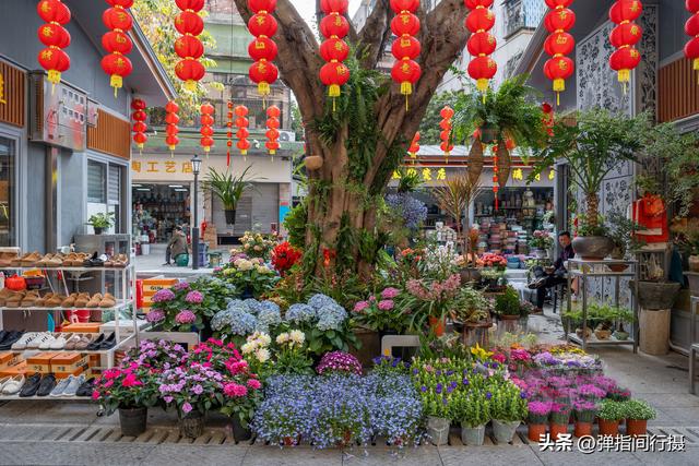 斥资500万！佛山30年花鸟老街，摇身一变成文艺新地标