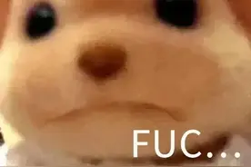 笑话十条：拉肚子时，千万千万不要相信任何一个屁图片