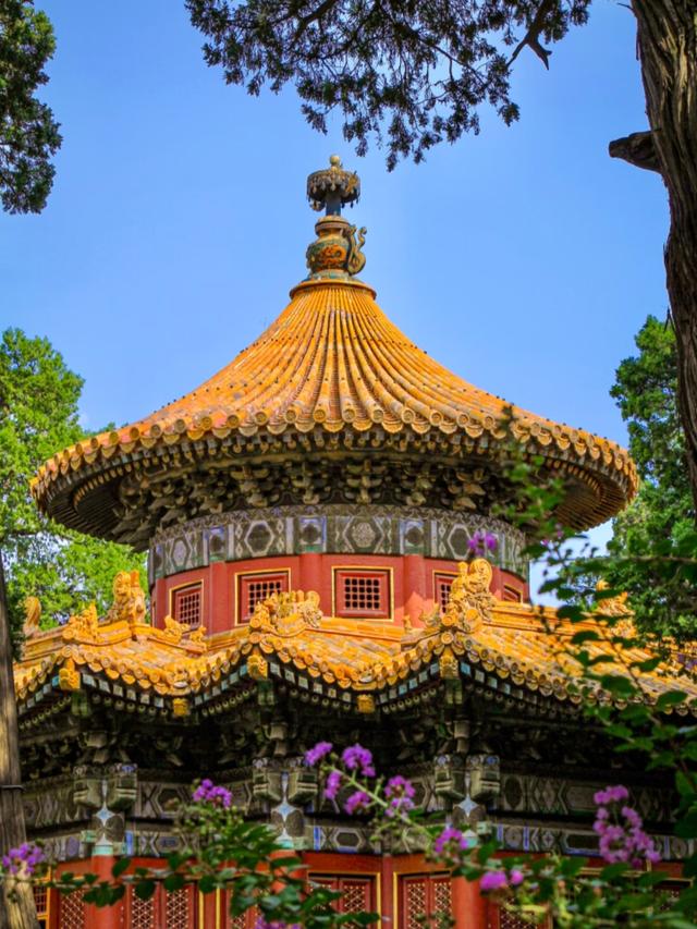 70岁之前，一定要去中国龙脉旺盛的4个城市，你还差几个？