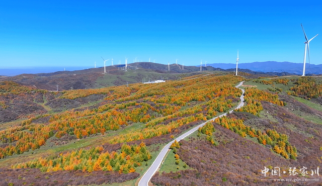 【摄影报道】秋韵未歇：张家川山水的立冬回眸