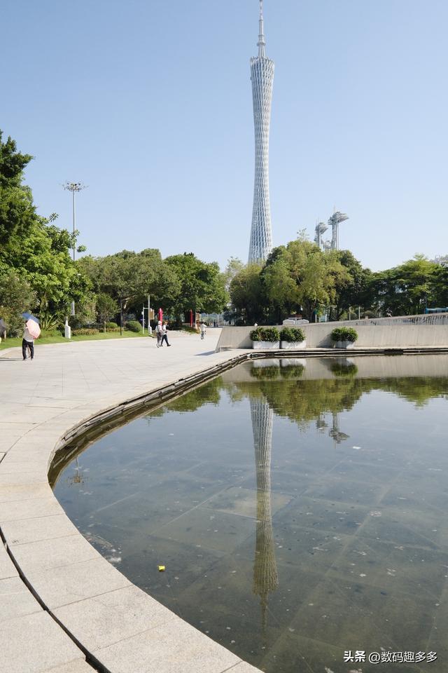 广州一年四季这景点都有花海，绝美赏景地
