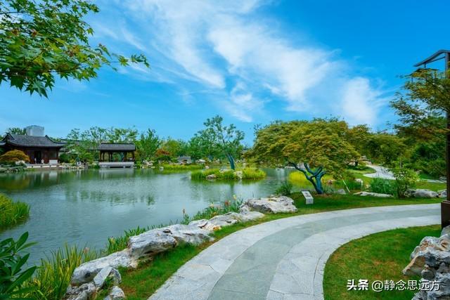 退休后跟着儿子到河北石家庄生活了一年，说实话我羡慕这的生活了