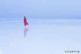 一生所寻，不过爱与自由图片