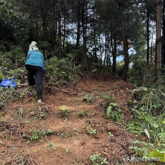贵州凯里动物园，为什么会成为网络最热门的动物园？