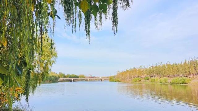 寻美薛城丨一眼沉醉！蟠龙河冬日美景，是一幅静谧迷人的水墨画卷！