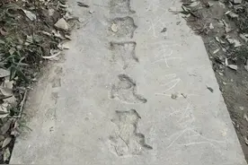 探秘~南京灵谷寺戴笠墓图片