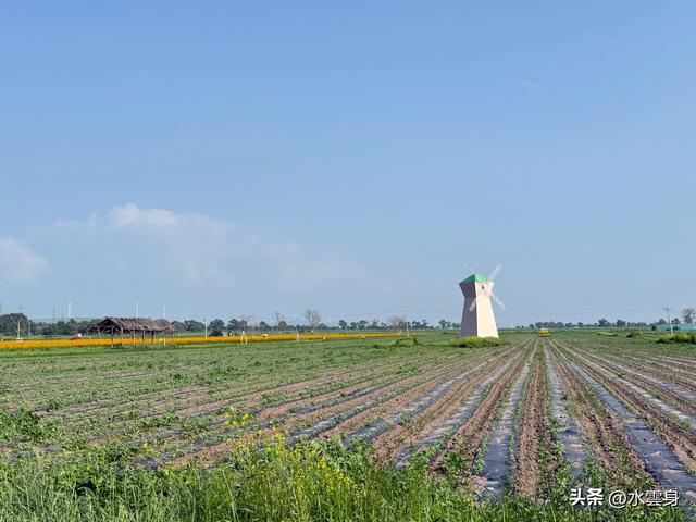 向北而行：北京自驾沽源、多伦、太仆寺旗的草原牧歌（2）沽源篇