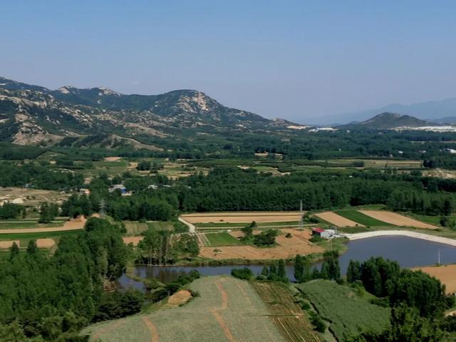 天中盆景！泌阳小黄山的奇石与原生态美景