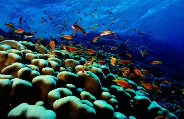 在埃及观察组的日日夜夜（五）