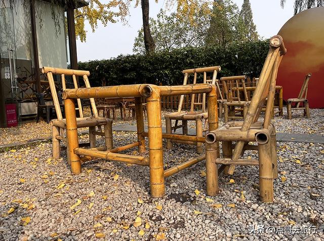 成都城市中的草原牧场，彩林比阿勒泰还美，公交车地铁直达！