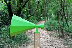 深圳徒步丨塘朗山上新啦！地铁直达，野趣十足的亲子步道！图片