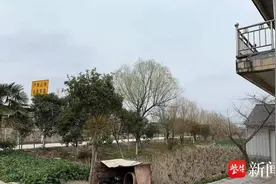 盐城东台一村庄距离高速公路不足30米 噪音扰民如何解决？图片