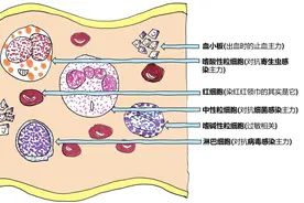 血：为什么受伤的总是我？图片