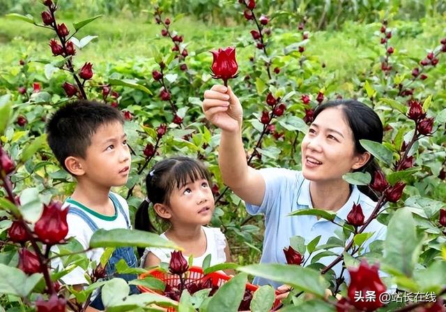 三大特色IP“出圈” 这个假期七都“火力”全开