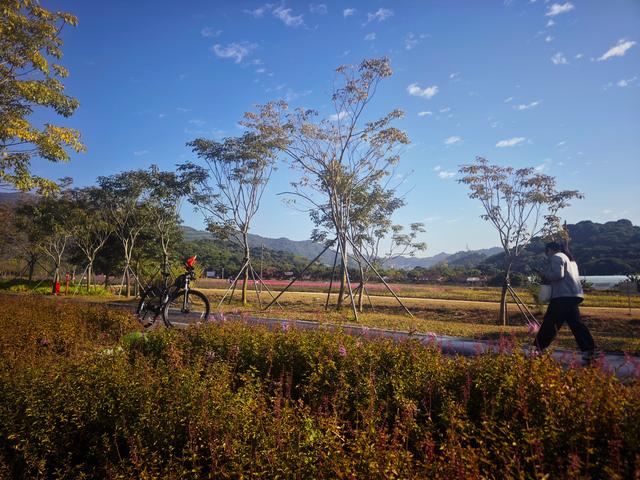 从丽康路穿荔园溪谷至西丽湖绿道骑行随拍