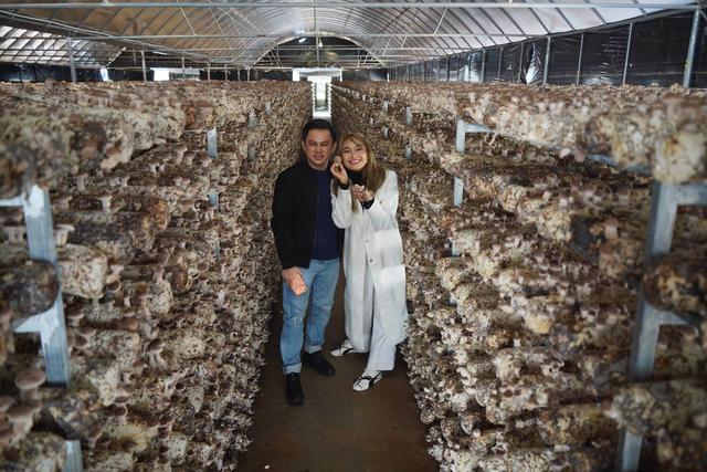 【外眼看云南】美食与乡村新景：缅甸顶流博主夫妇的陇川惊喜之旅