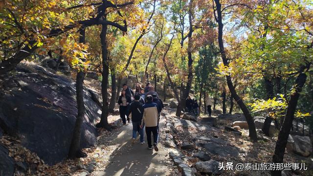 泰安：它是一个藏在泰山群峰间的免费景点，能赏银杏登天梯品清茶