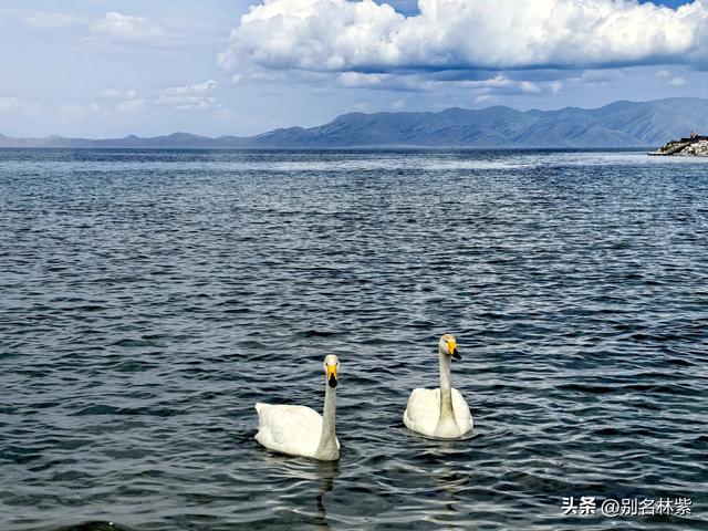 花145元自驾新疆赛里木湖，值吗？附环湖自驾攻略及游玩重点（5）