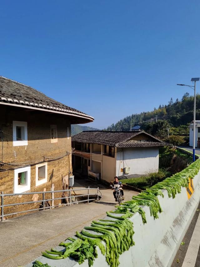 土楼拾光①:福建土楼景区——田螺坑片区（2025.2.9 漳州·南靖）