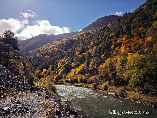 米亚罗彩林季，观赏一日游！
