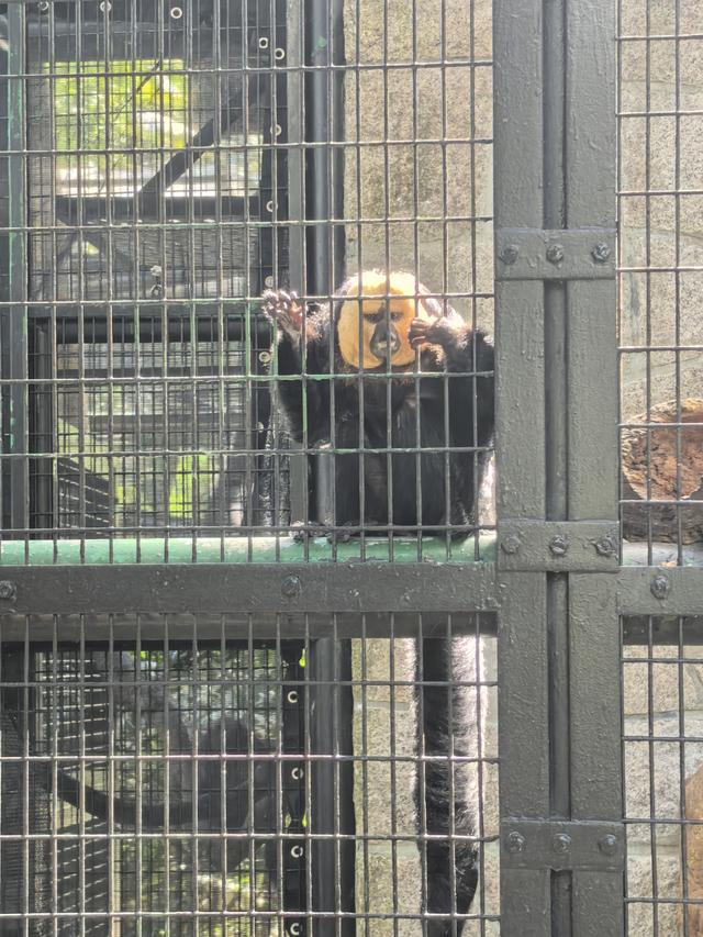 在香港只玩了两天