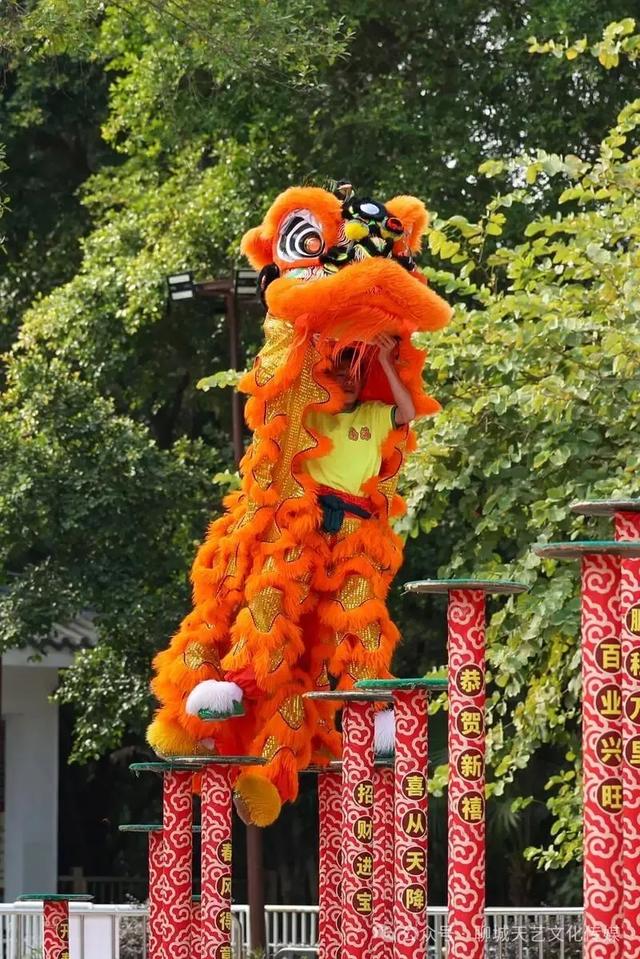 谁和我一起逛大集！！！2026年阳谷县新春季“黄河大集”系列活动暨文化科技卫生“三下乡”启动仪式