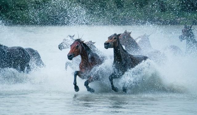 属马的你	，今年最大的难题，不是事，而是“人”！