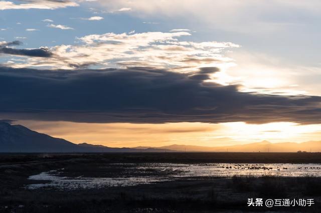 佳能的“标志性套头”——RF 24-105mm f/4L IS USM 镜头评测