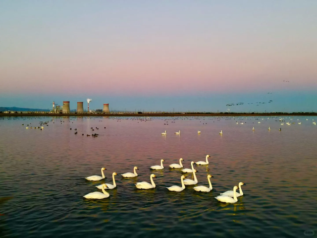 入冬啦！呼和浩特的这几处顶流打卡地必须去眊一眊！