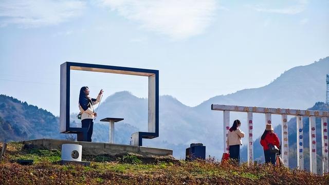 西安:秦岭脚下荞麦香 峪口村畔好风光