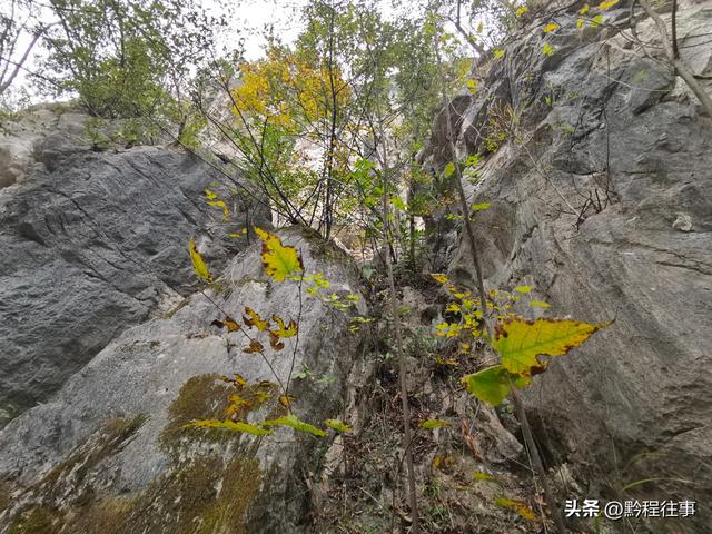 寻找一个最为艰难的躲匪洞，我难到达，土匪也难以到达