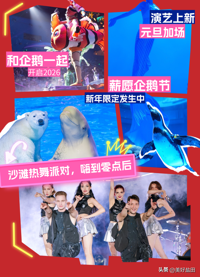 元旦别宅家！和南极萌企鹅共赴小梅沙新年狂欢