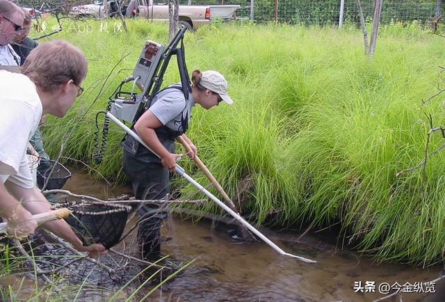 邻居相约电鱼，一人溺亡！同行者竟要赔钱？这事儿到底冤不冤？