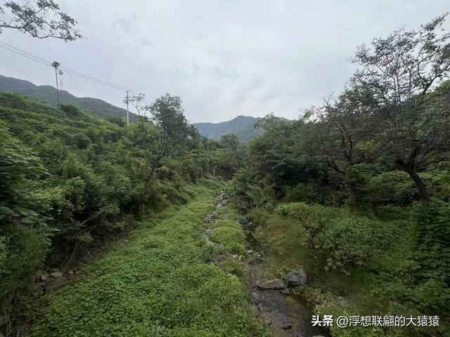 在邹平上回村可以攀爬摩诃峰，但俺没爬，俺买了农家菜打了山泉水