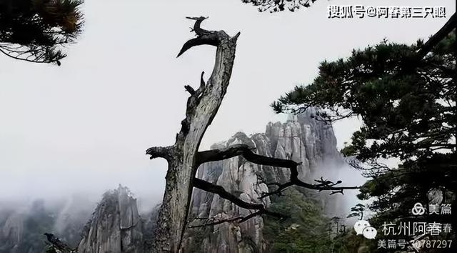 奇峻秀美 三清山