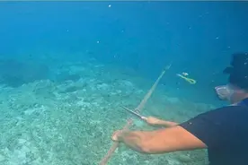 美国收到最新情报，南海永暑礁方向，解放军歼-20隐身战机部署图片