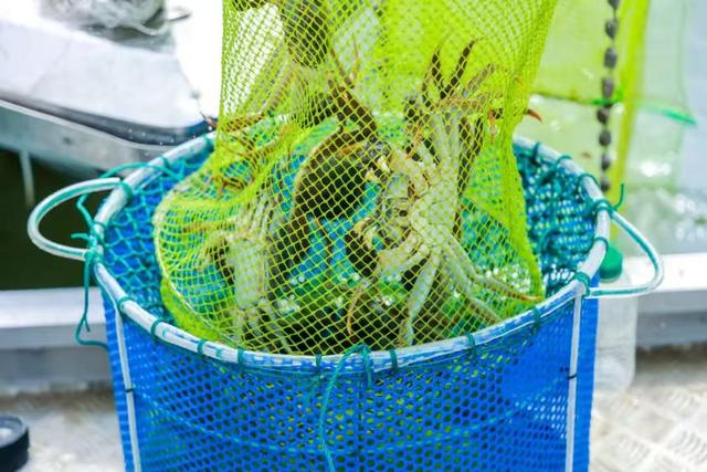 苏州园区三湖“秋味”超浓！这份打卡攻略请收好