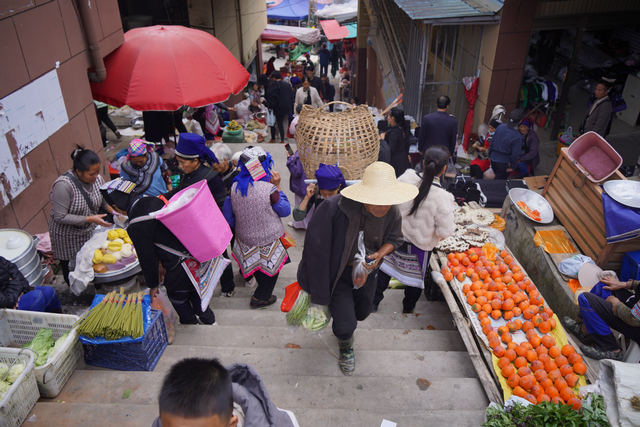 【外眼看云南】被元阳梯田“治愈”的五位国际博主，找到“慢生活”的答案