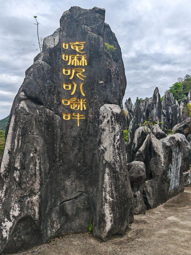 广西小众城市-贺州篇丨后悔没早发现这宝藏山水小城，适合短线游
