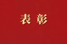 中国石化表彰“两优一先”，这些集体个人获奖！图片