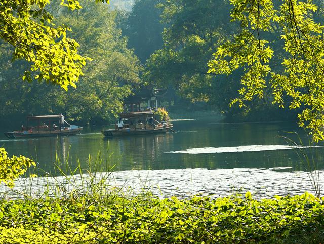 杭州秋日秘境：太子湾与浴鹄湾的红枫水墨画