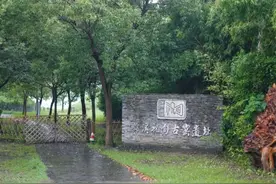 昆山的村子发现荒废的古窑遗址，建造紫禁城的“金砖”就来自这里图片