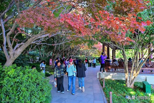 杭州西湖的景色还不错！