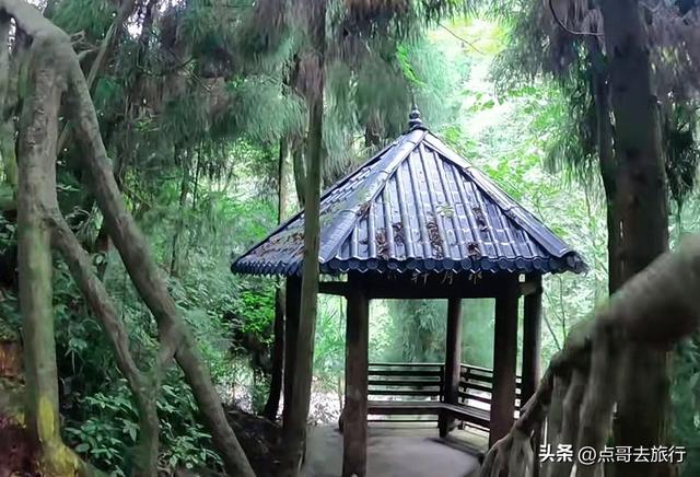 成都周边清凉胜地，三伏天穿长袖，吊桥、瀑布、栈道，不要门票！