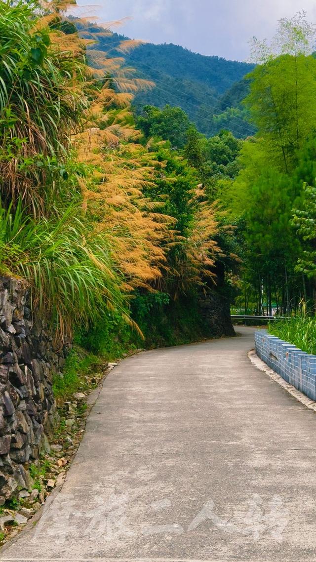 皖浙摩旅二人转——蜈蚣岭篇（下）