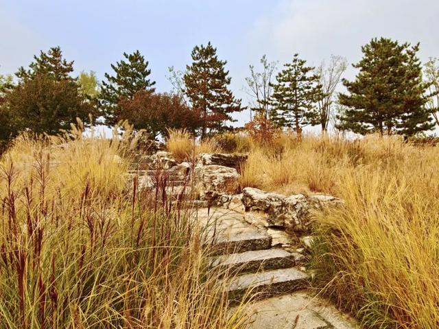 秋景秋色秋意浓,北京城市副中心藏着古今交融的浪漫