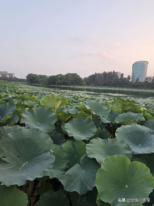 追逐晨曦，追逐阳光，追逐清晨的第一缕阳光，它照耀你前行的路！