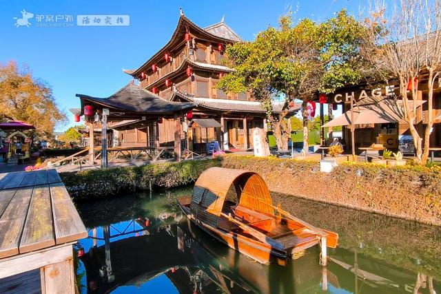 11月的云南腾冲,3000株银杏迎来黄金观赏期,美成人间仙境!