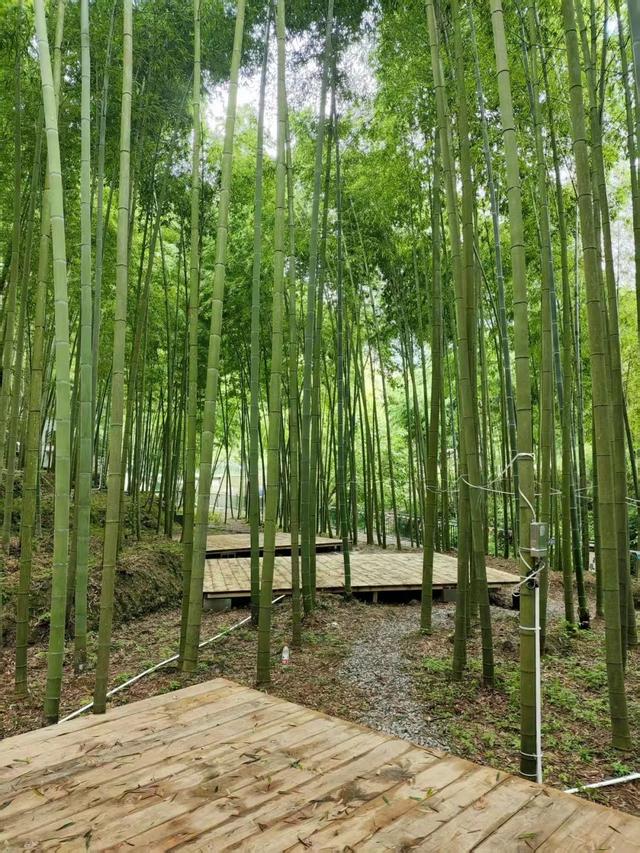 “趣”南川，野一“夏”！南川露营地全攻略，藏着夏日清凉答案→