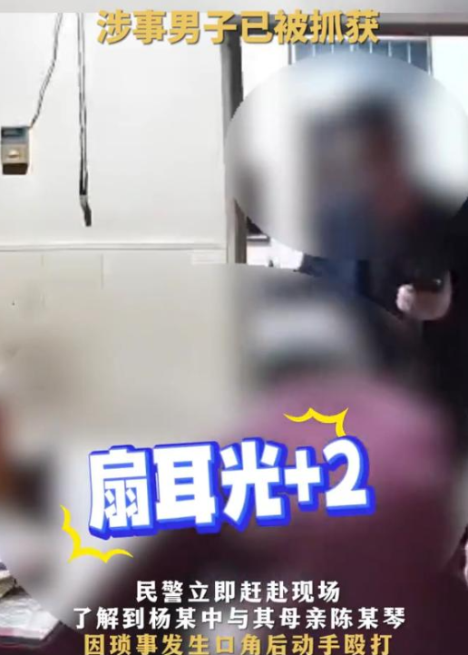 儿子暴打93岁母亲后续：因琐事发生口角，男子被抓获	，女儿发声